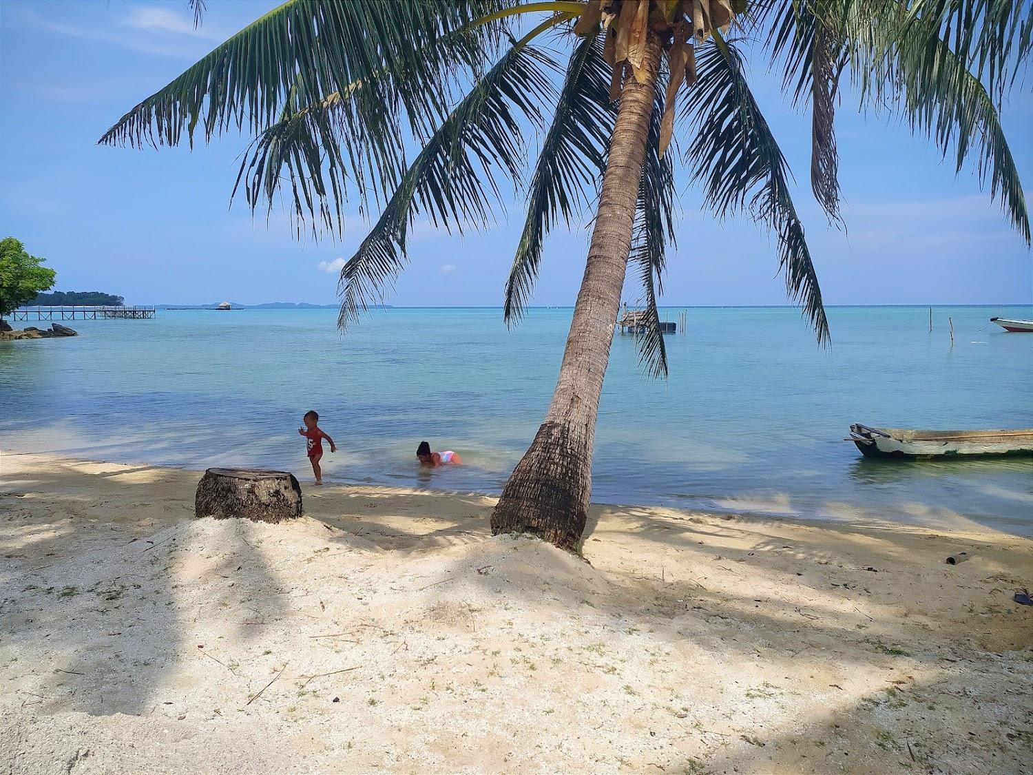 Cover Image for eco casa resort