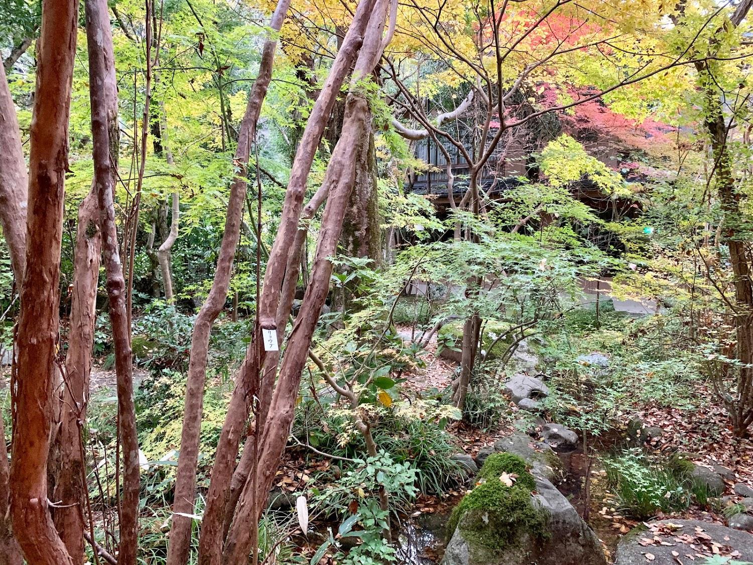 Cover Image for Ushiosou