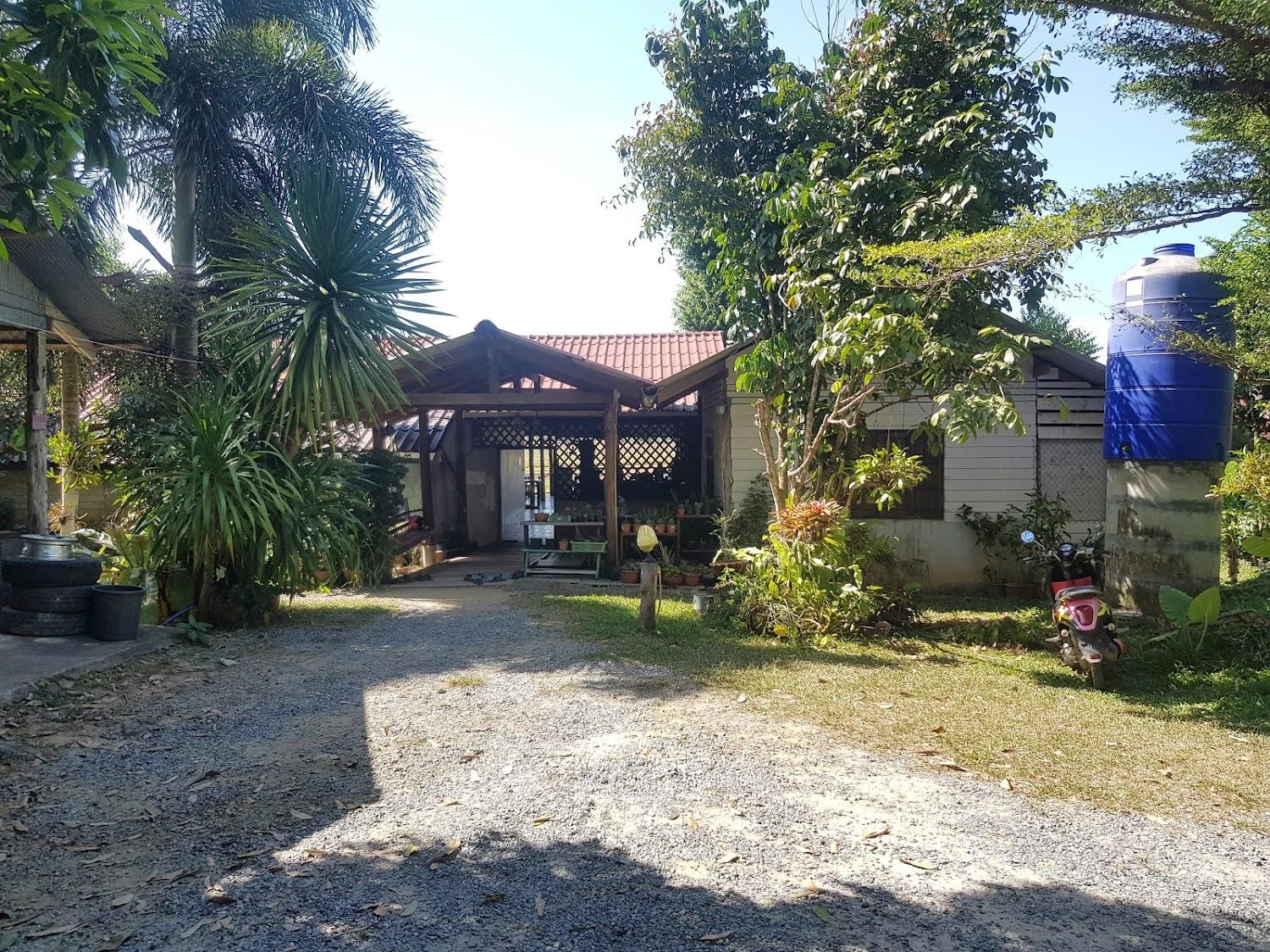 Cover Image for paina resort