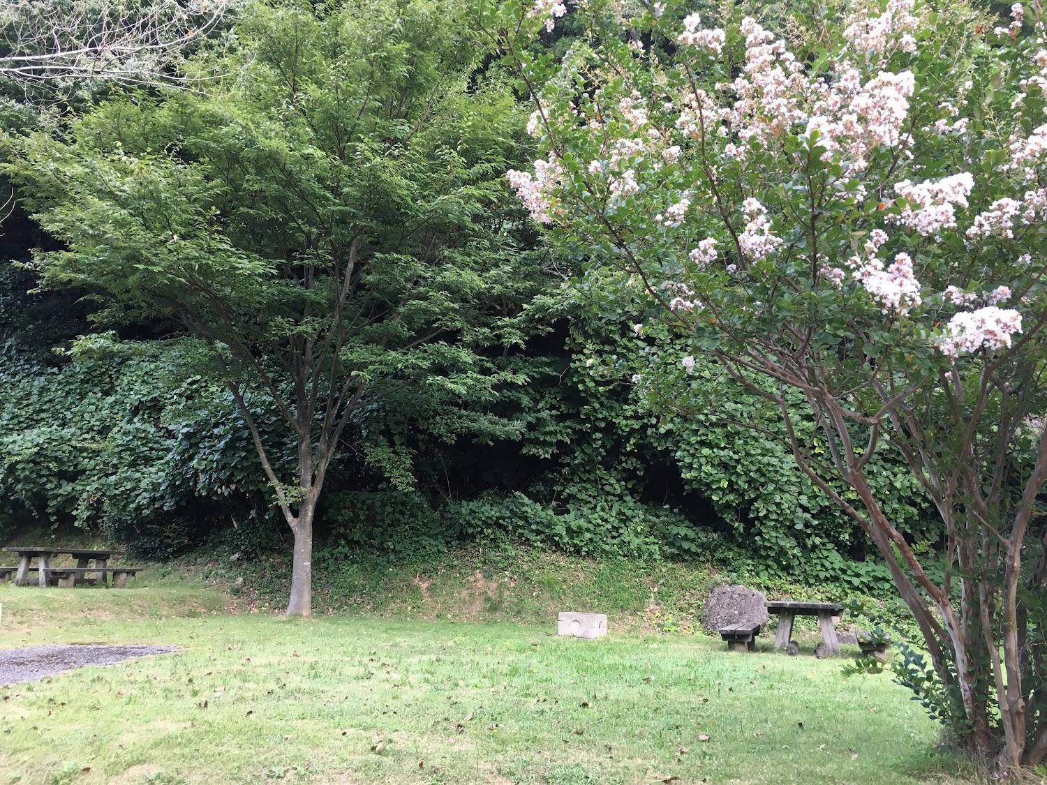 Cover Image for Wajima Ecology Camping Ground