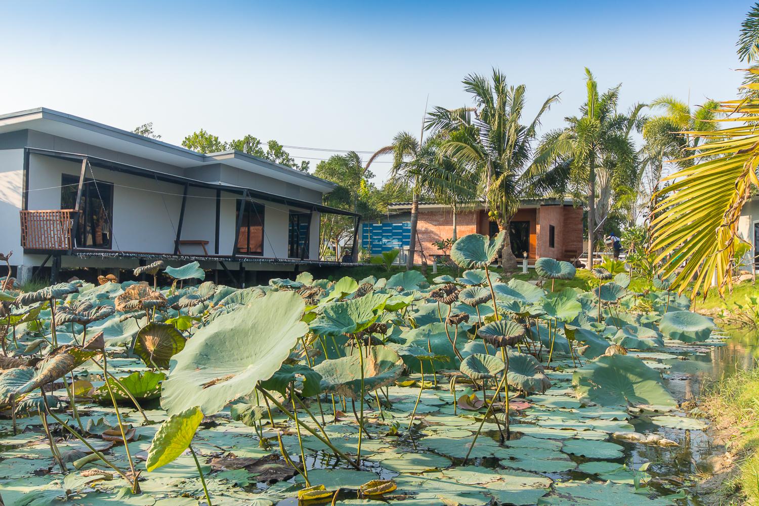Cover Image for Bueng Bua Resort