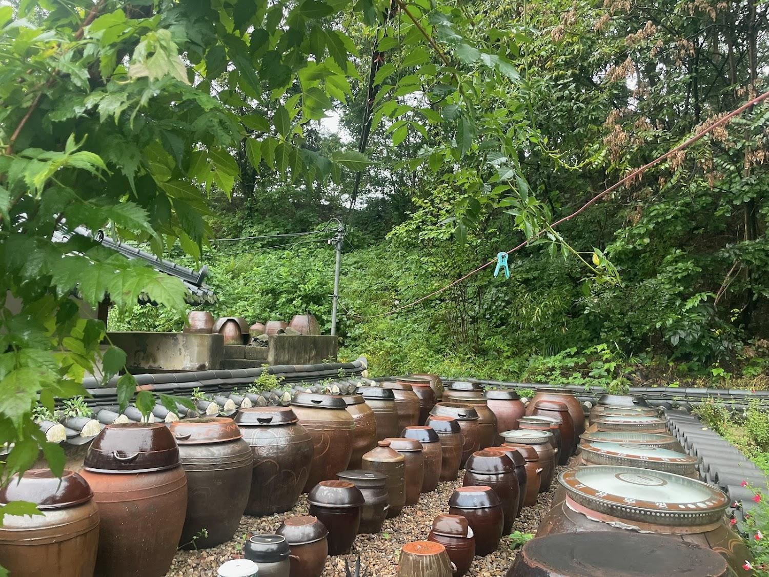Cover Image for Chiam Gotaek