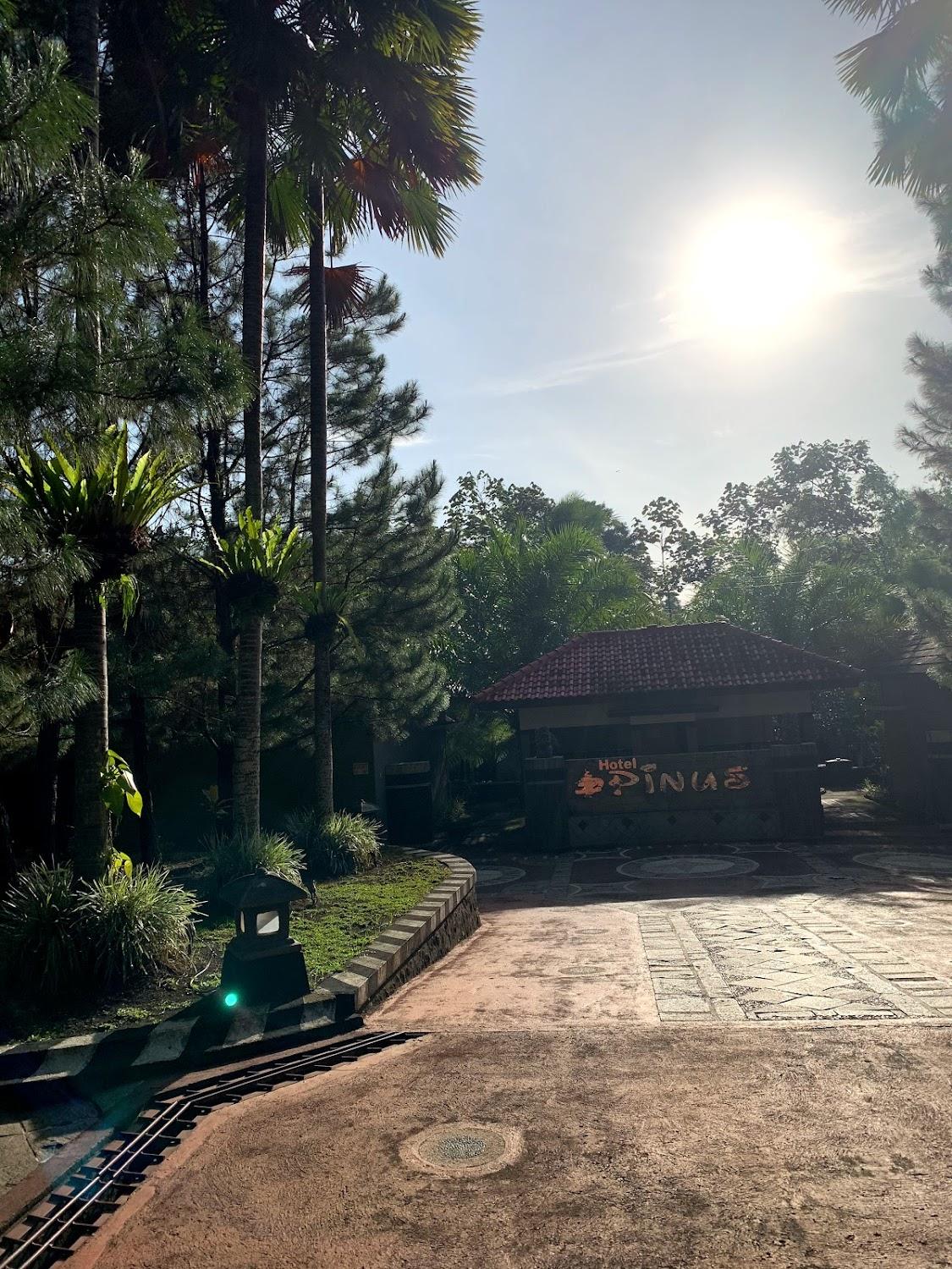 Cover Image for Hotel Pinus Glenmore