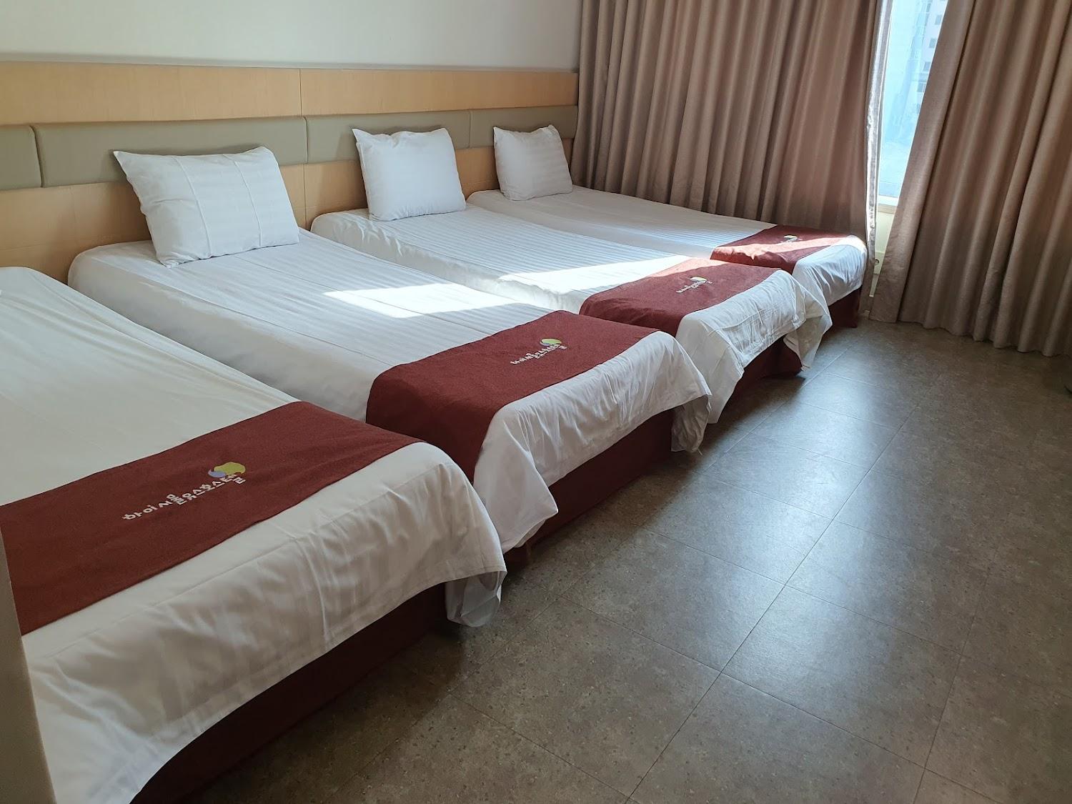 Cover Image for HiSeoul Youthhostel