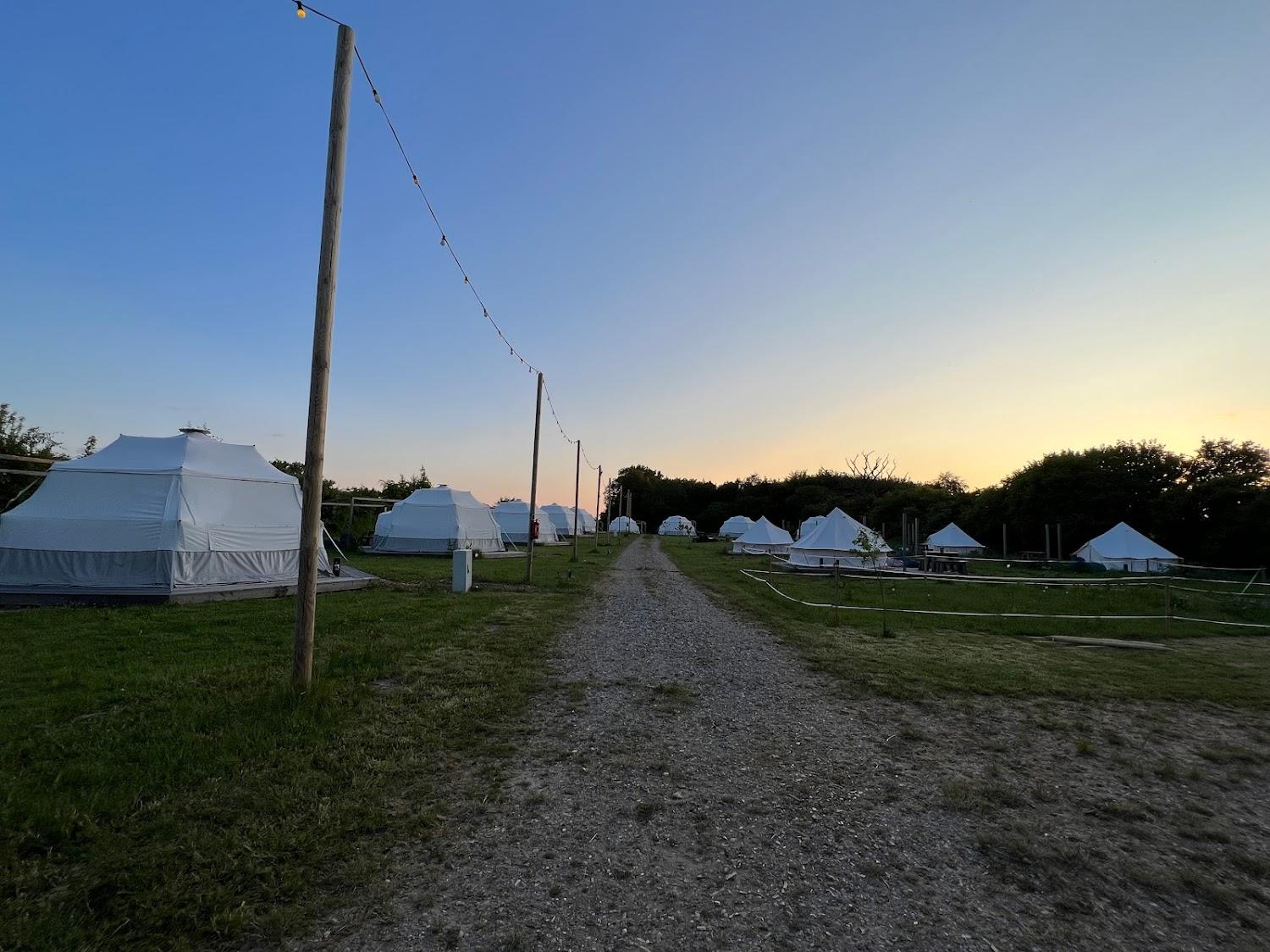 Cover Image for DOMO Glamping Camp Hof Viehbrook