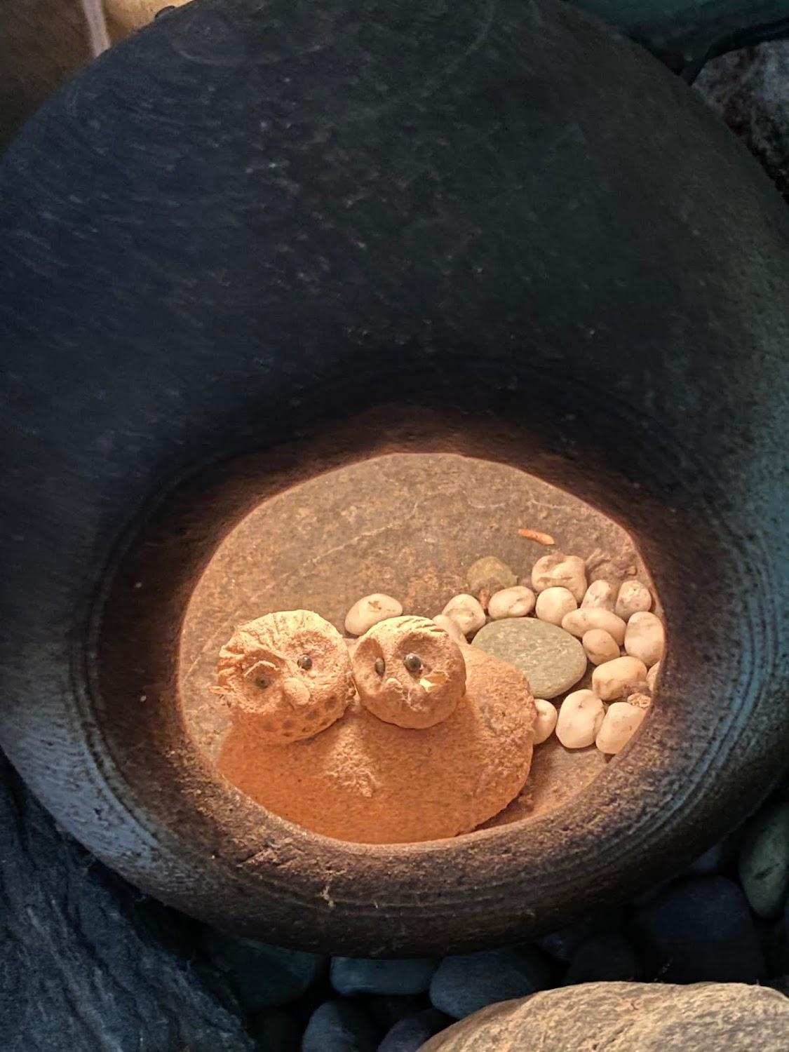 Cover Image for Gohoso