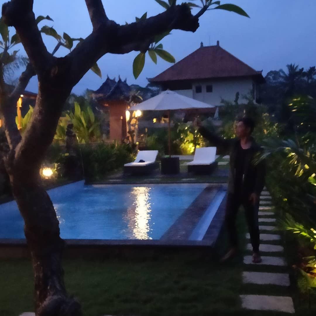 Cover Image for Puri Trisna ubud