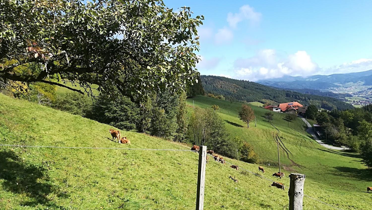 Cover Image for Alt-Rufenhof