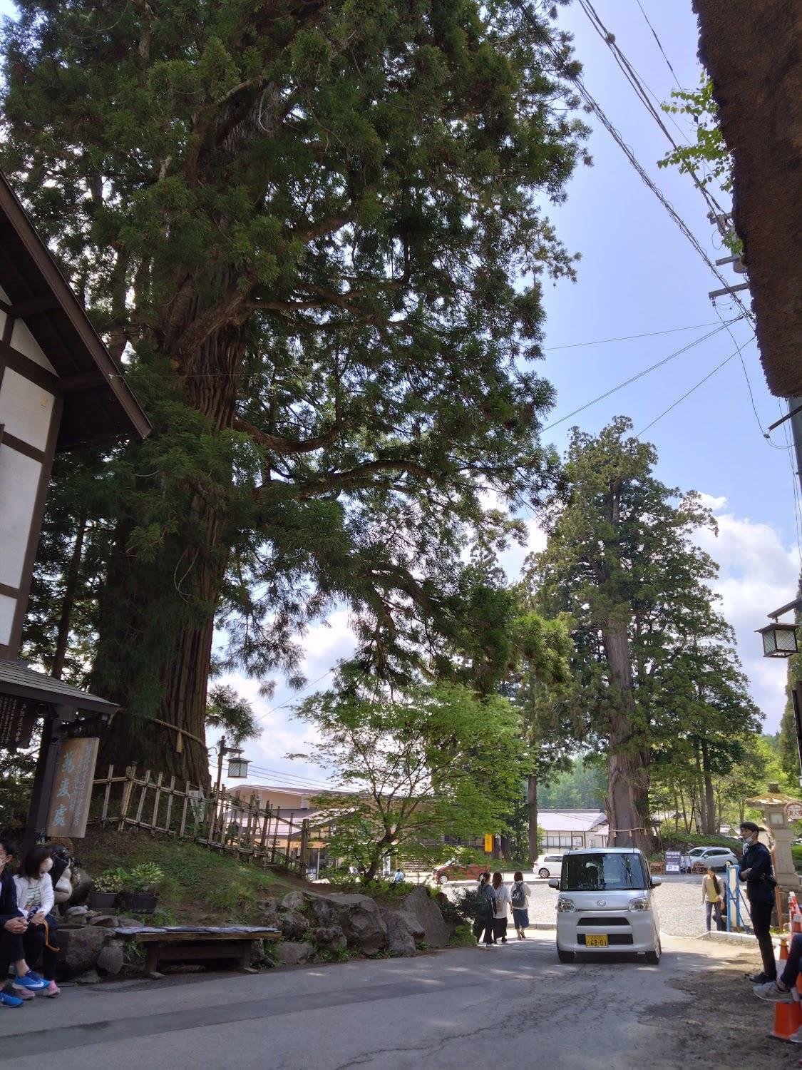 Cover Image for 成瀬旅館