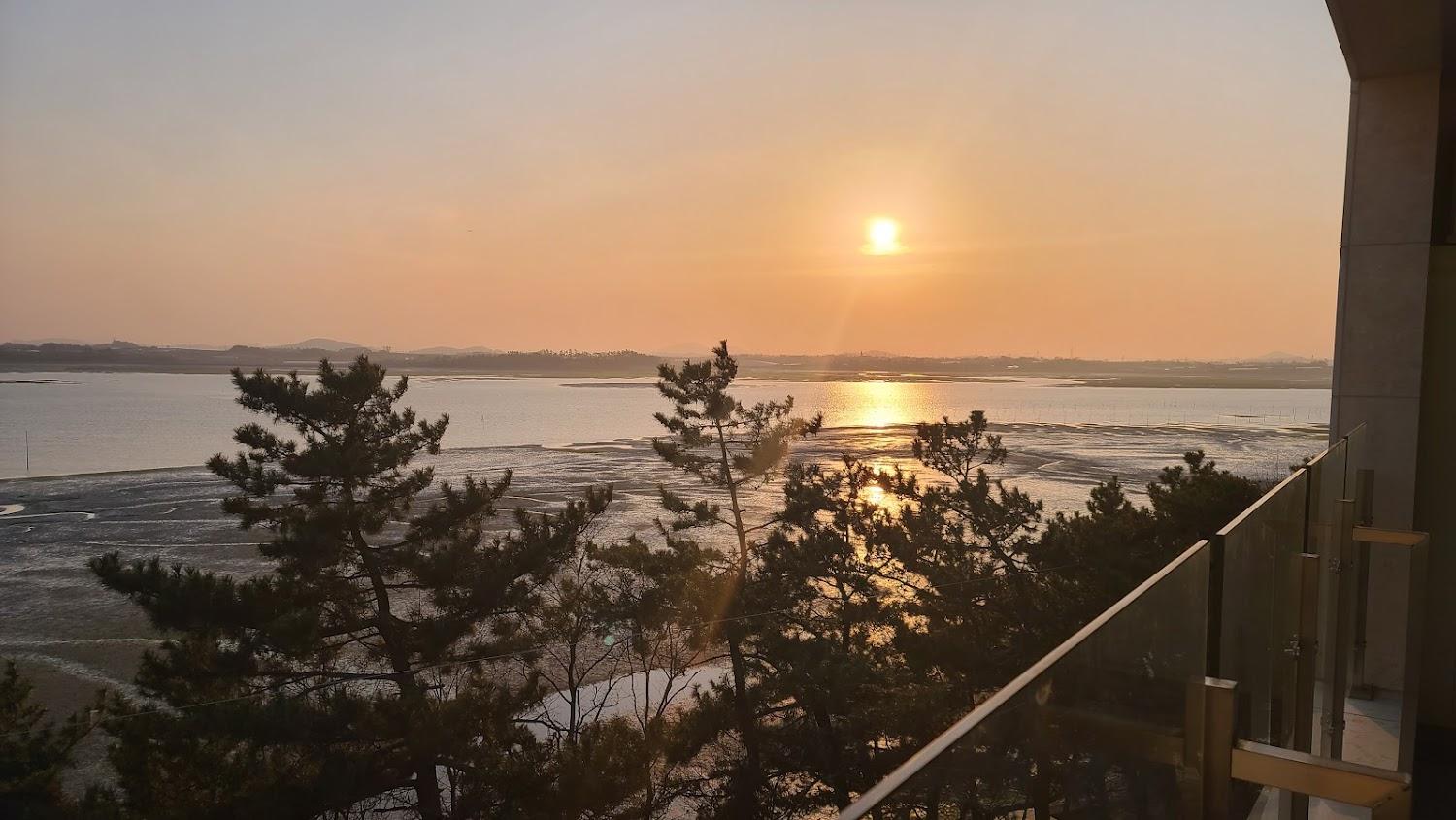 Cover Image for 소나무 숲 펜션
