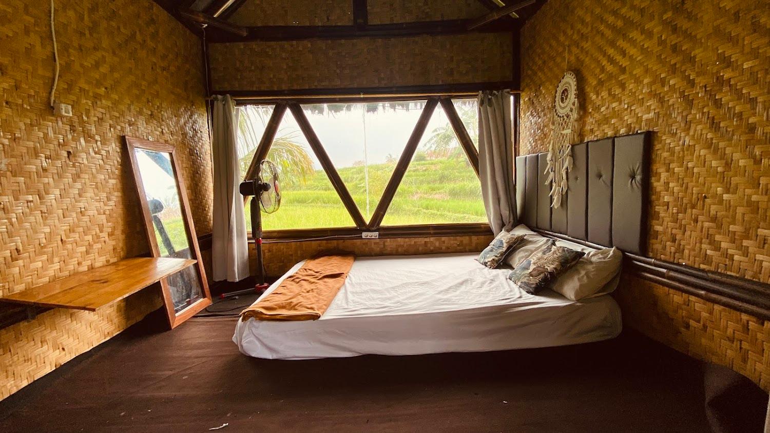 Cover Image for Paddies Homestay