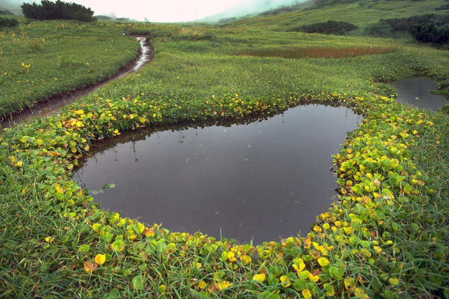 Cover Image for Kurobe-goro Hut