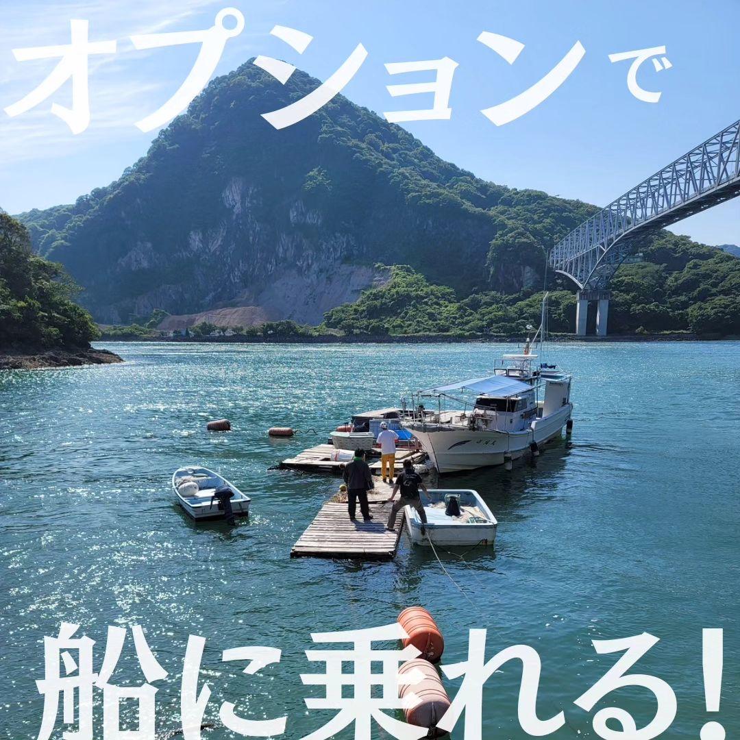 Cover Image for HASHINSHITA (ハシンシタ)