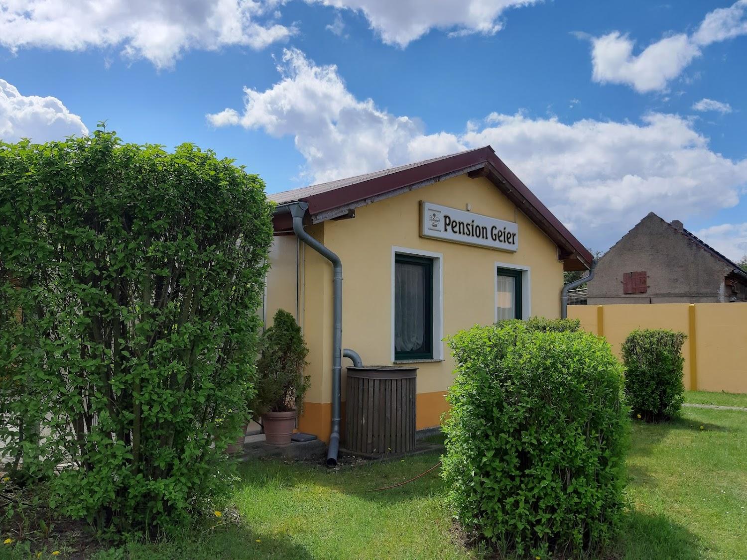Cover Image for Pension Geier