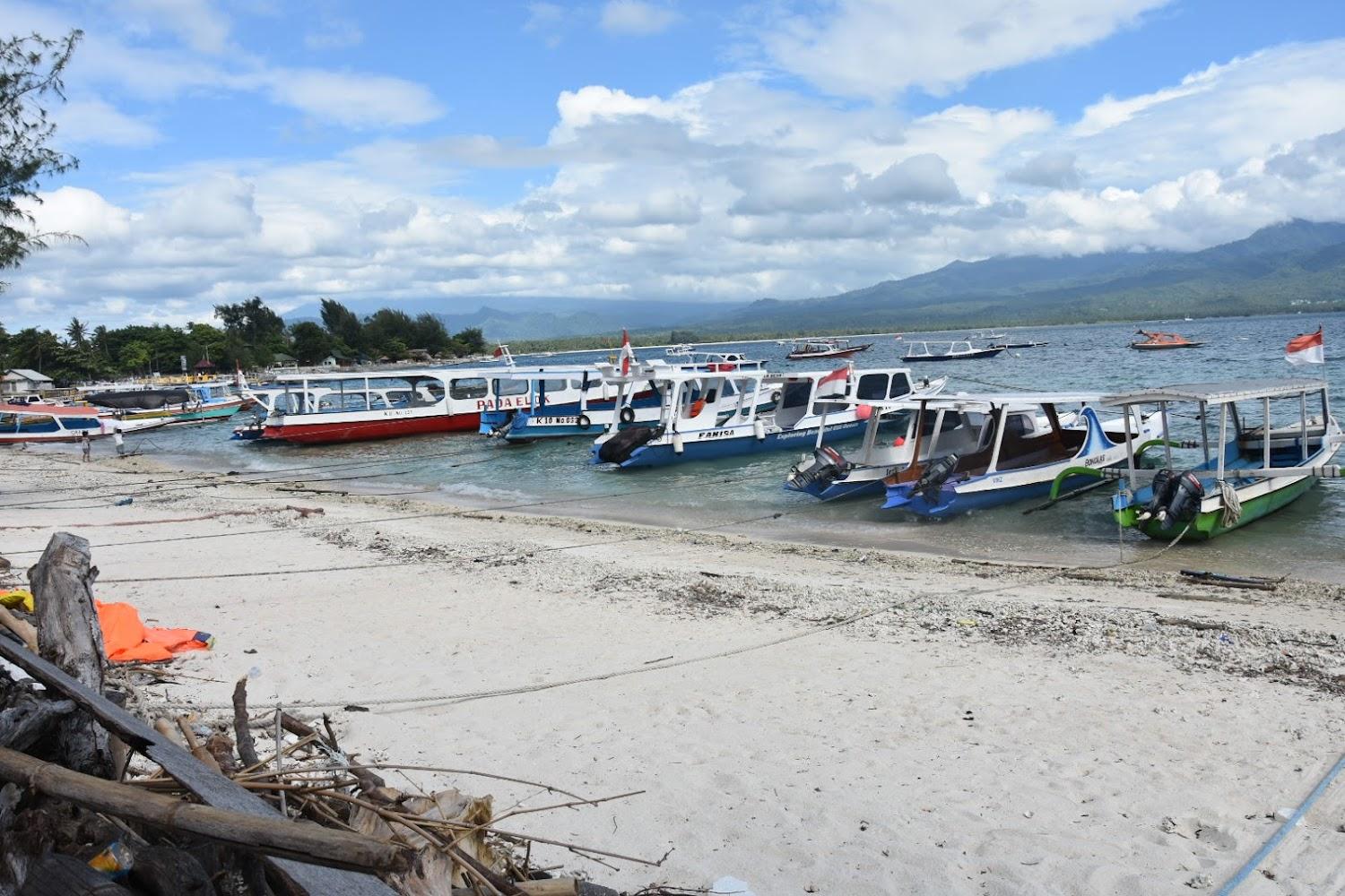 Cover Image for Vilkar Homestay