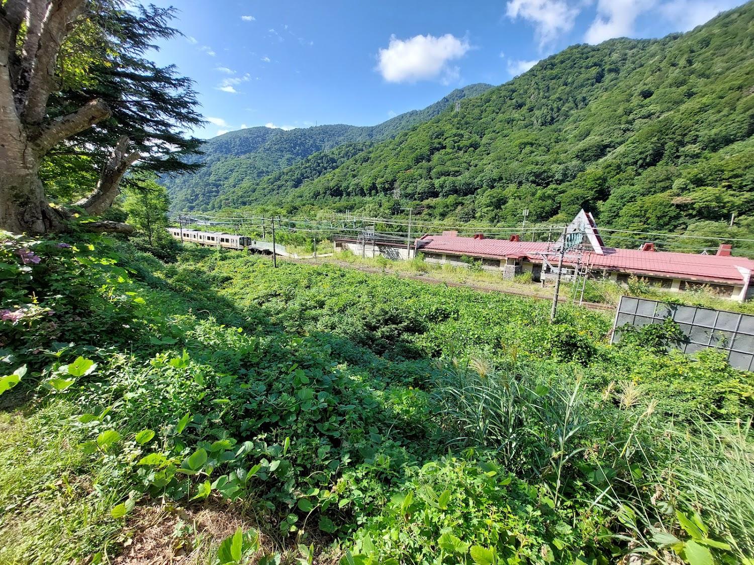 Cover Image for Doaiyama House