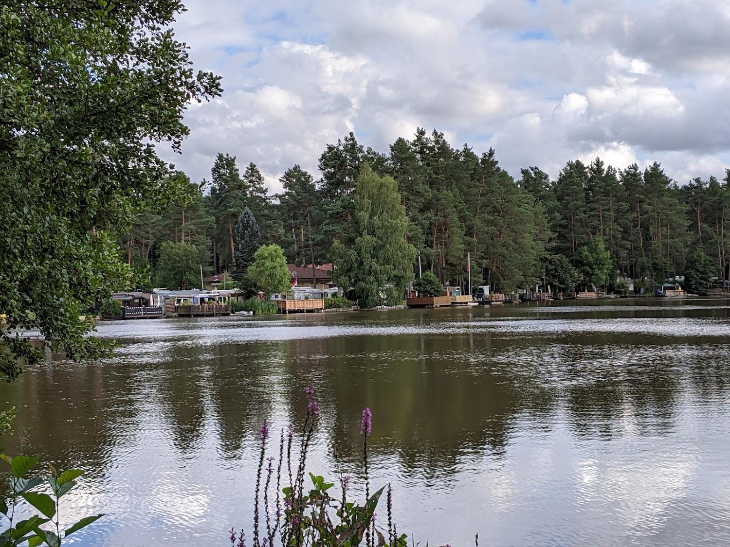 Cover Image for Camping Waldsee
