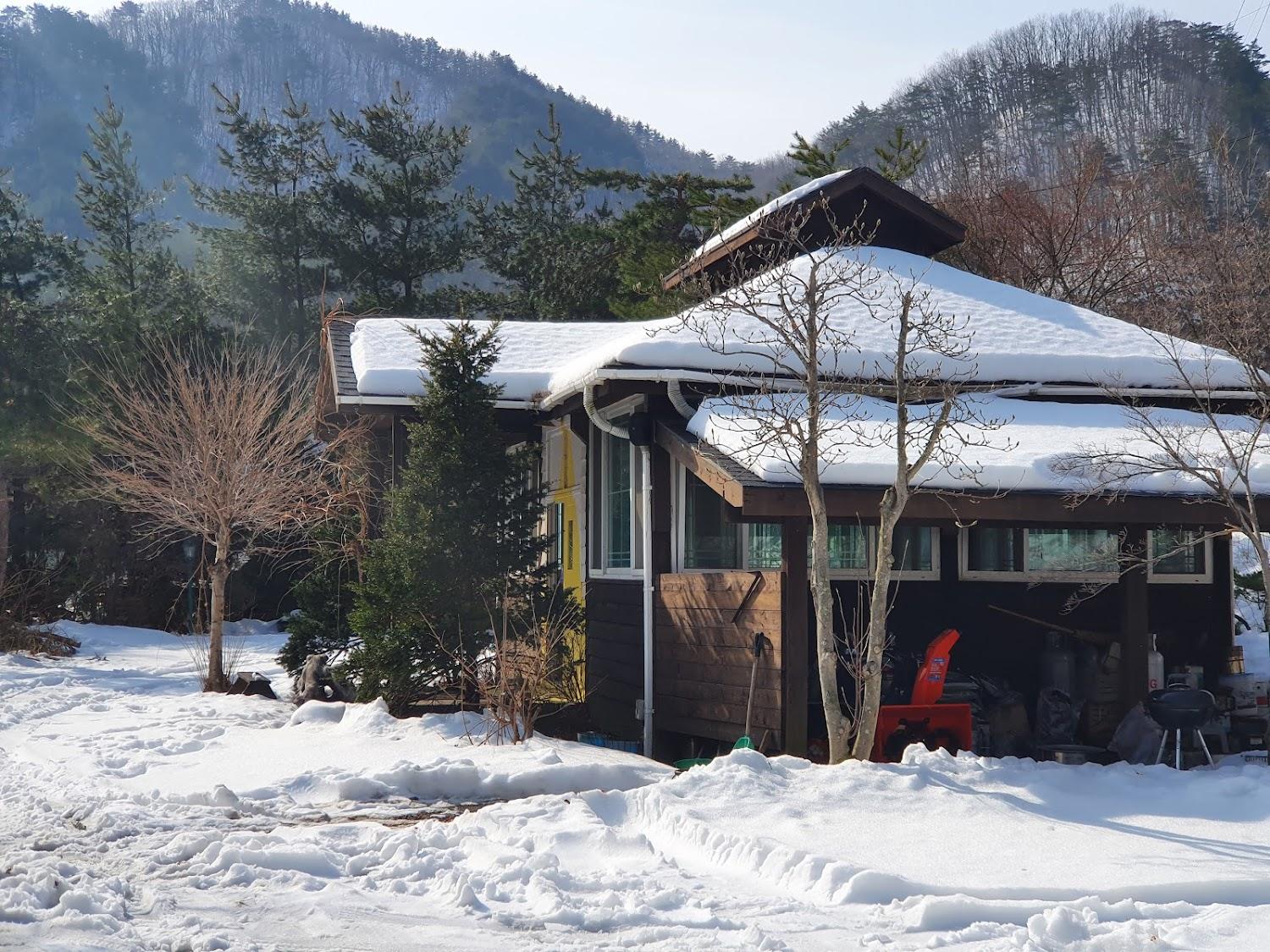 Cover Image for 캐디스