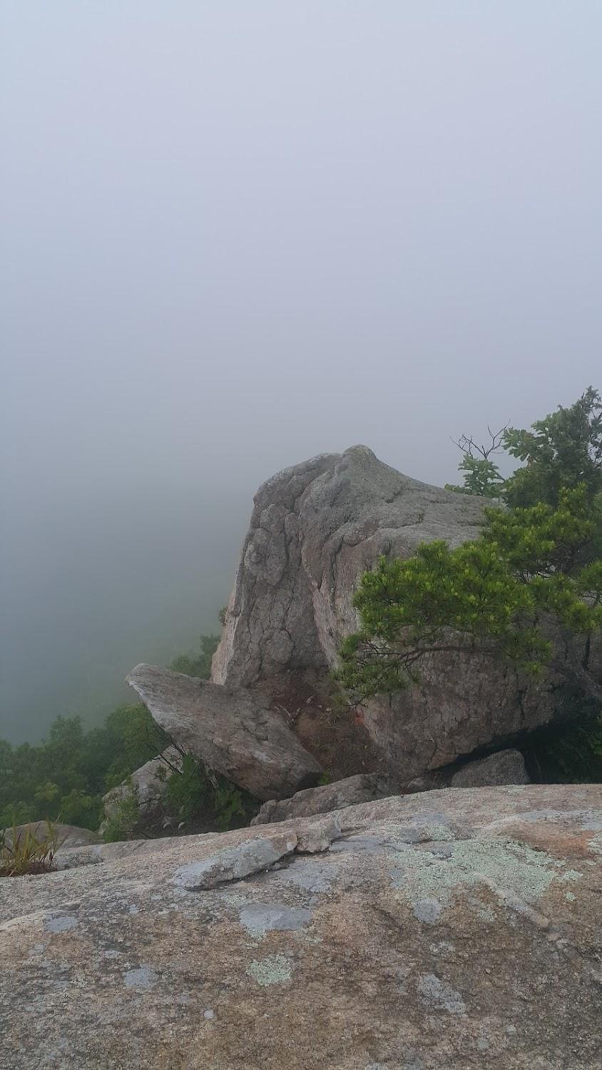 Cover Image for 시카고모텔