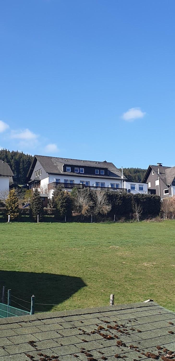 Cover Image for Pension Sauerland