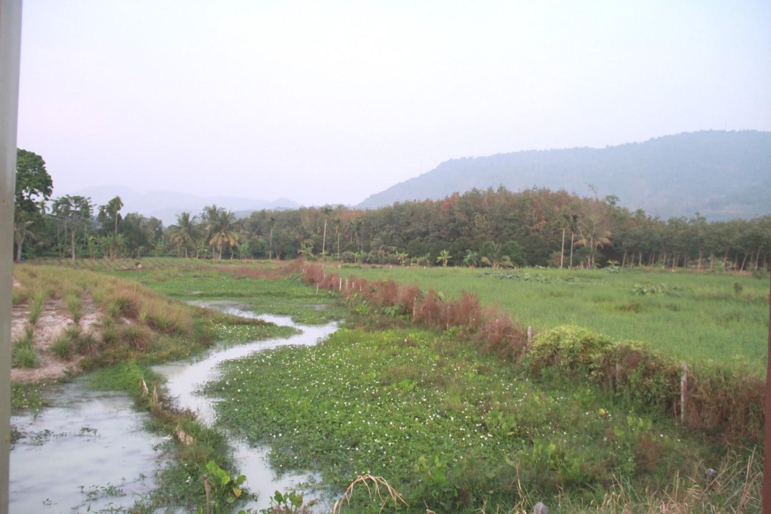 Cover Image for YaidaCountryResort