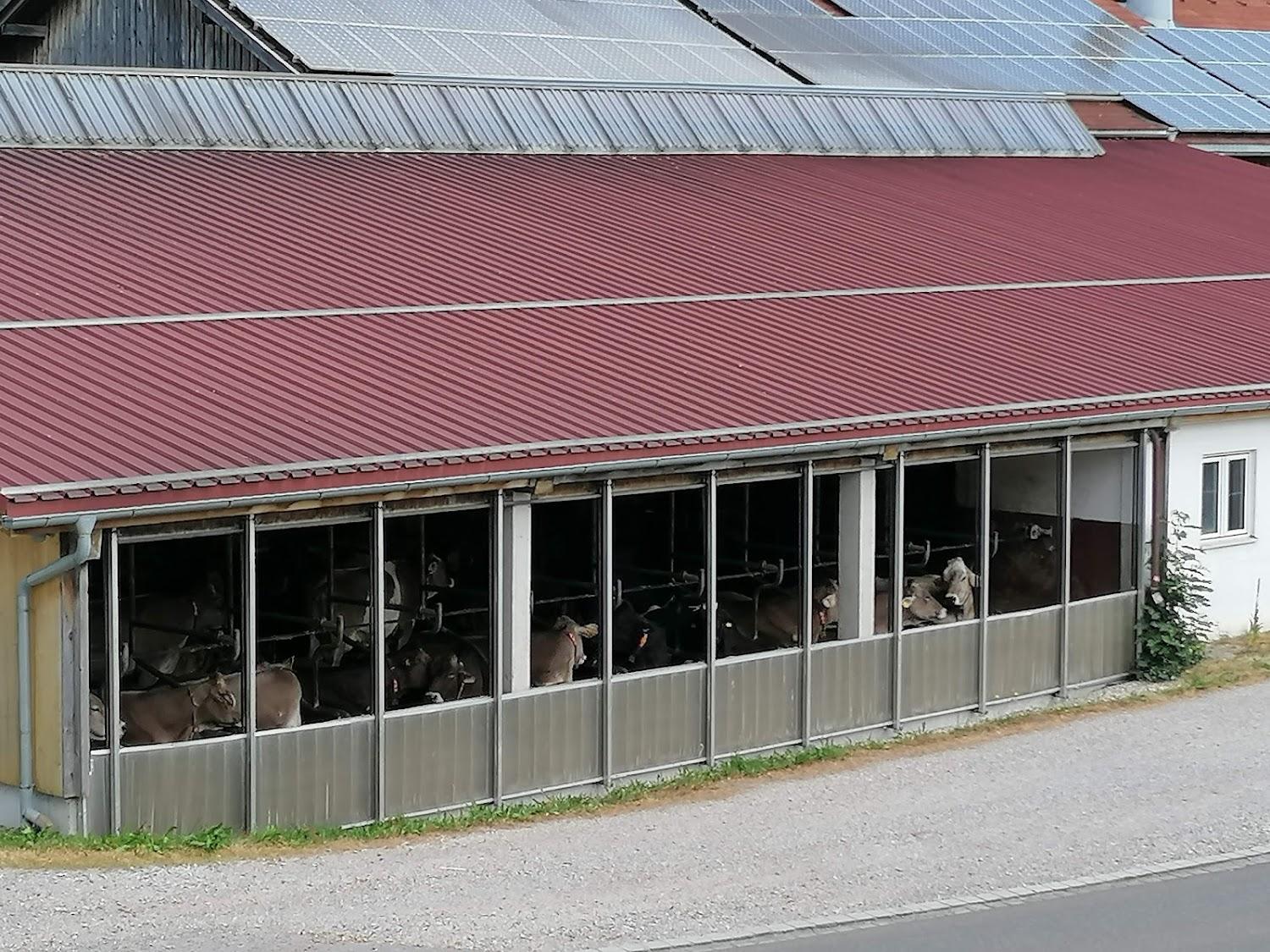 Cover Image for Landhaus Linde