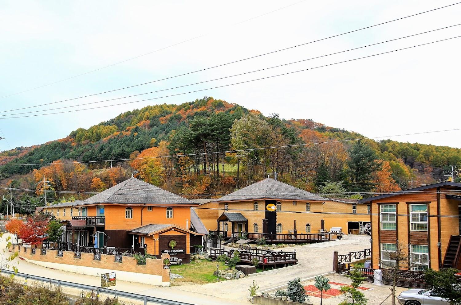 Cover Image for 대관령로뎀나무펜션