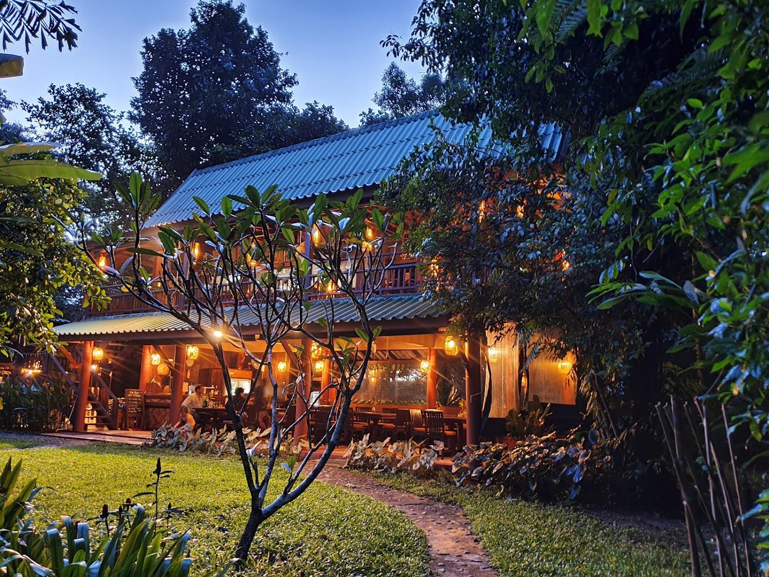 Cover Image for Our Jungle House