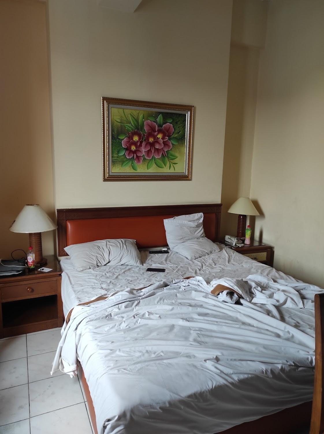 Cover Image for Hotel Prinsen Park