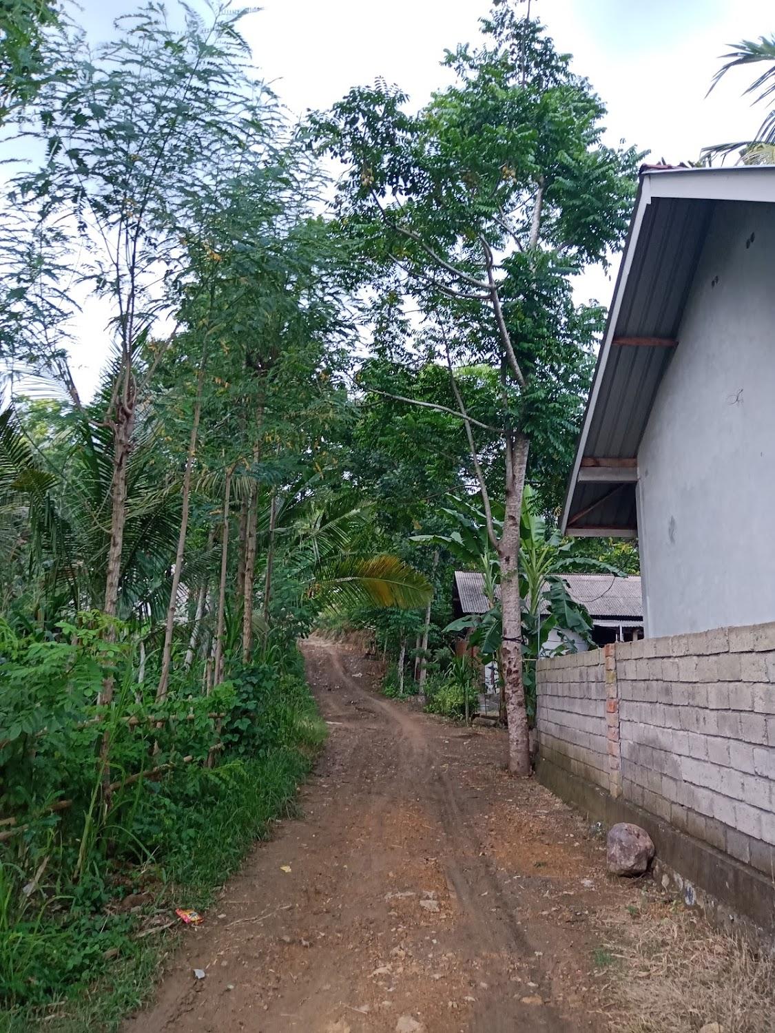 Cover Image for Hut Hostel