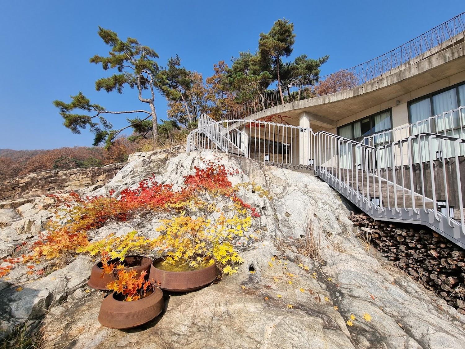 Cover Image for 라드라비 L'art de la vie