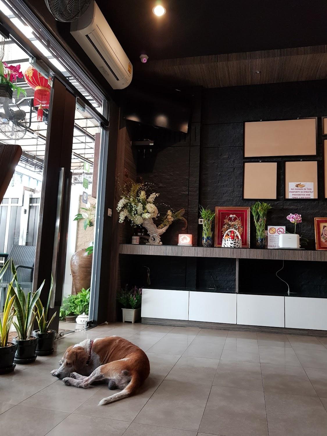 Cover Image for D-Box Hostel Bangkok