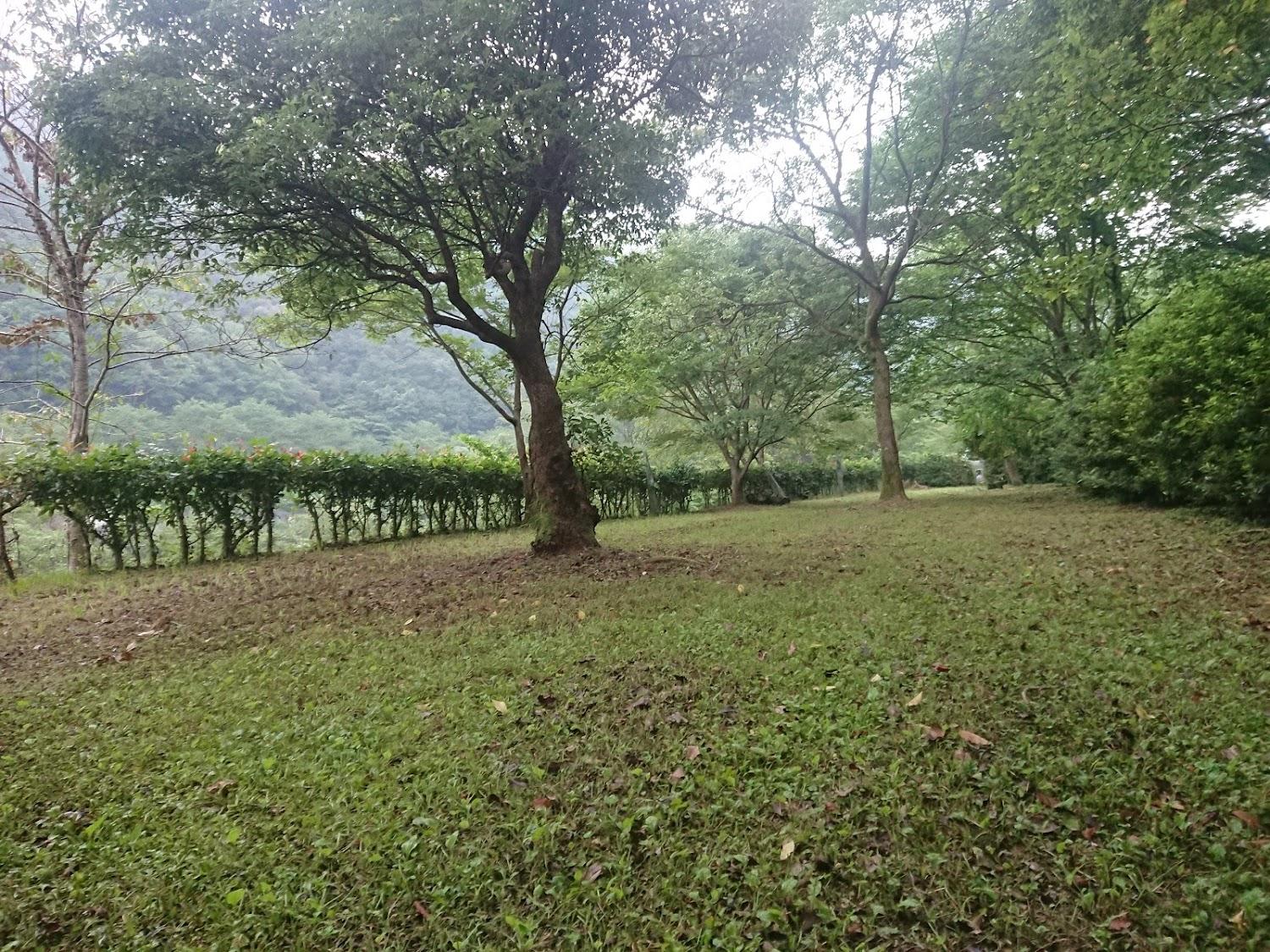 Cover Image for River Park Todoroki