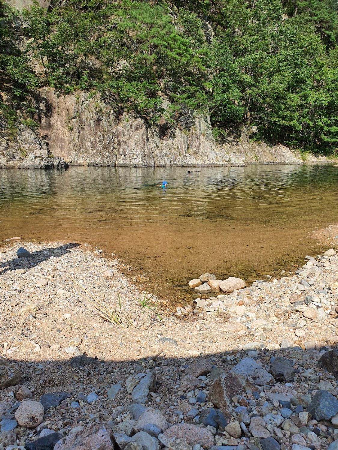 Cover Image for 해바라기캠핑장