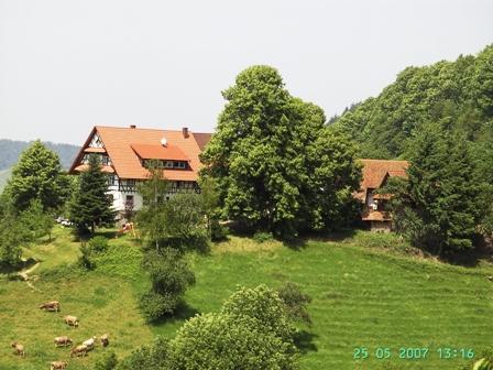 Cover Image for Günsberghof