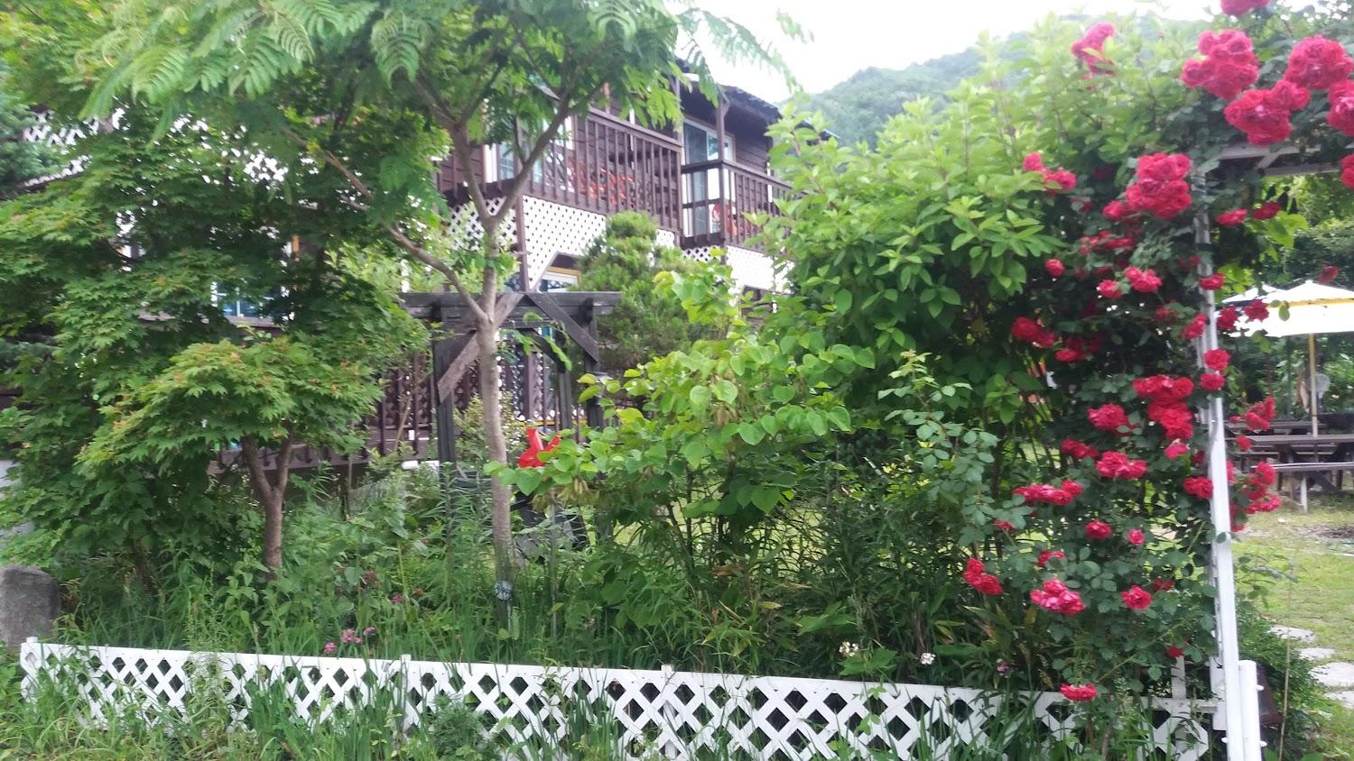 Cover Image for 아침이슬펜션