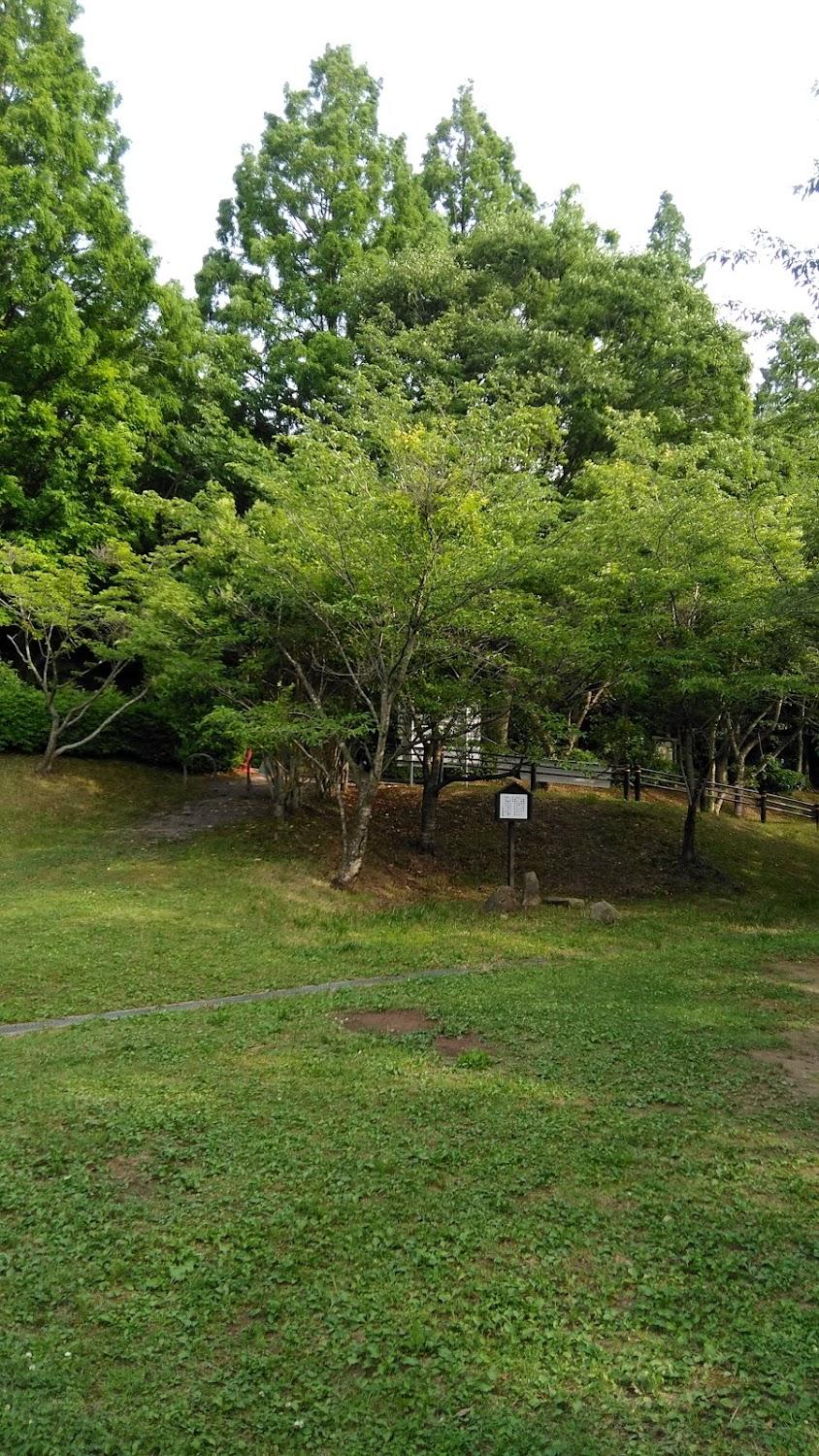 Cover Image for Shobutani Camping Ground