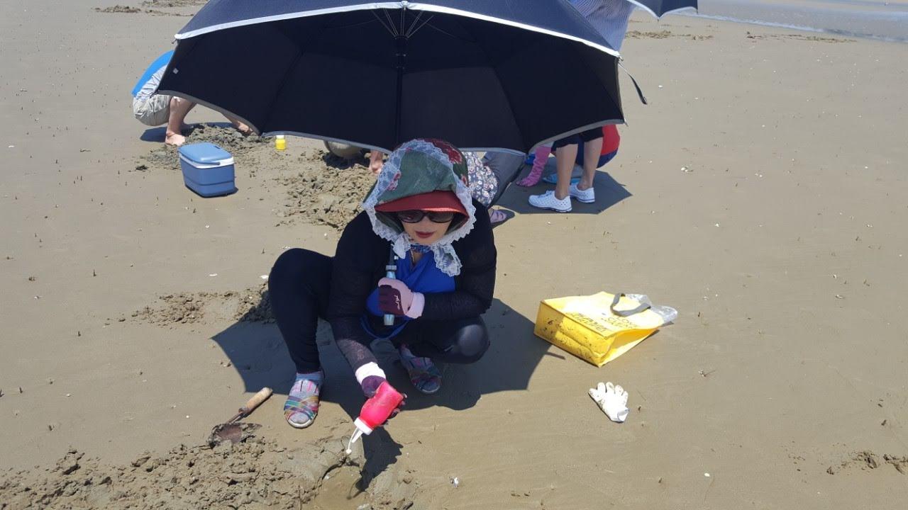 Cover Image for 몽산포비치