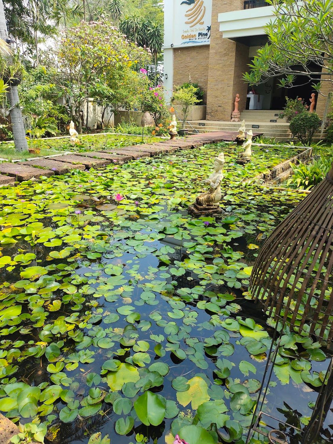 Cover Image for Golden Pine Beach Resort & Spa, Pranburi