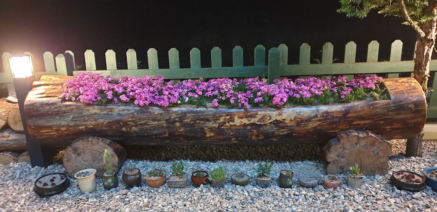 Cover Image for 오대산펜션