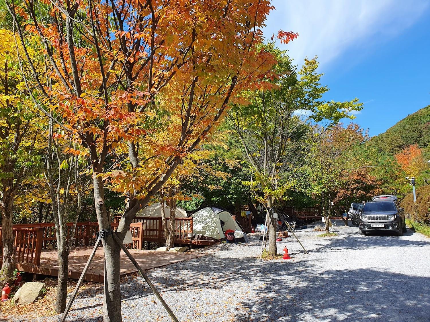 Cover Image for 벨뷰펜션