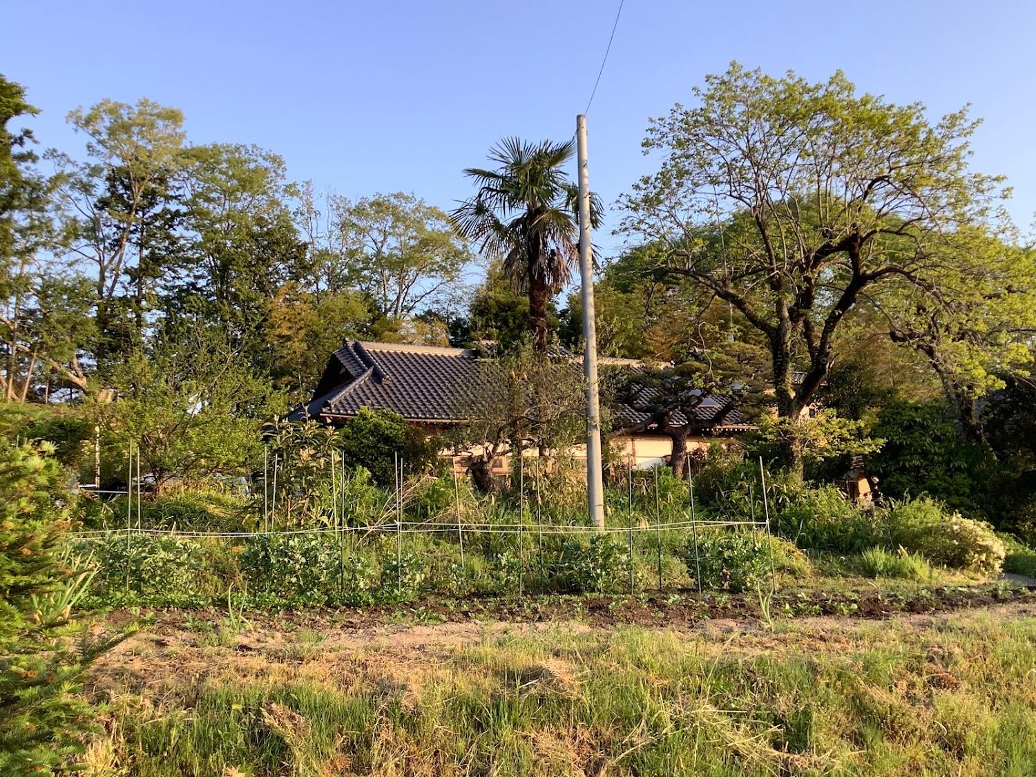 Cover Image for 民宿 翠の里