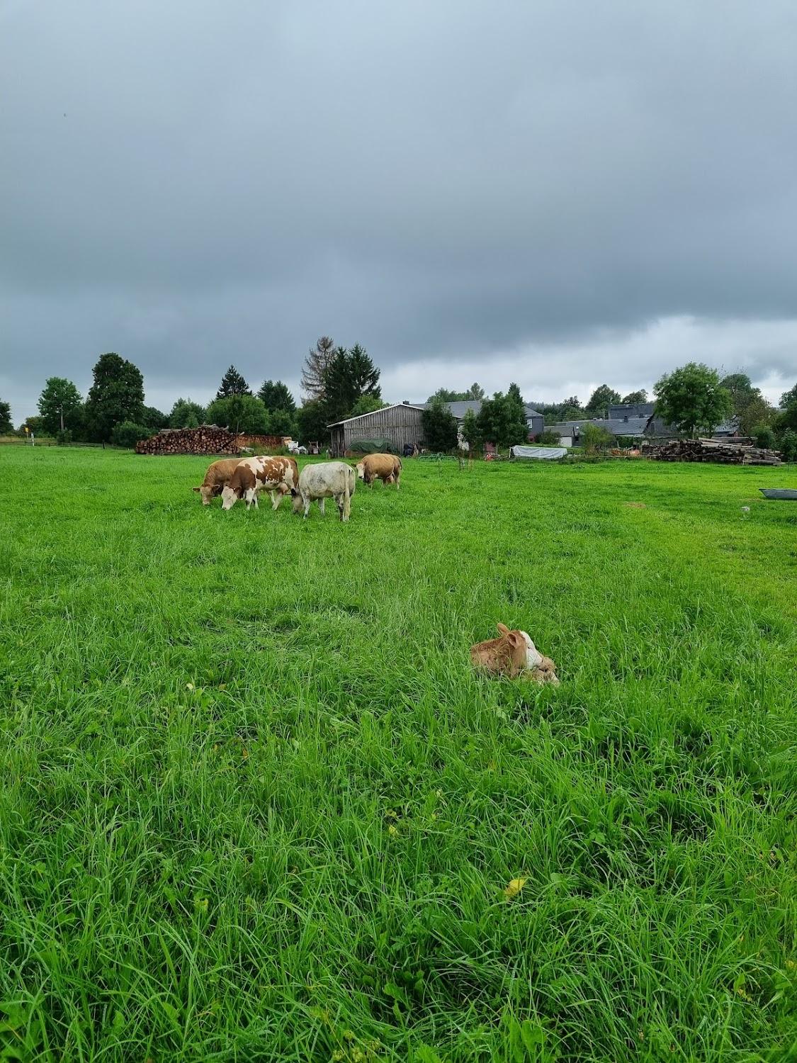 Cover Image for Pension Zum alten Bauernhof