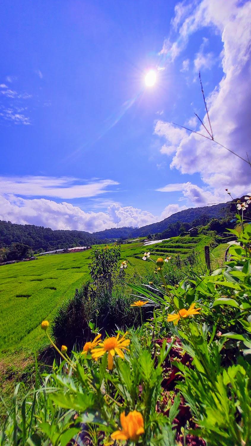 Cover Image for บ้านพักแม่กลางหลวงวิว