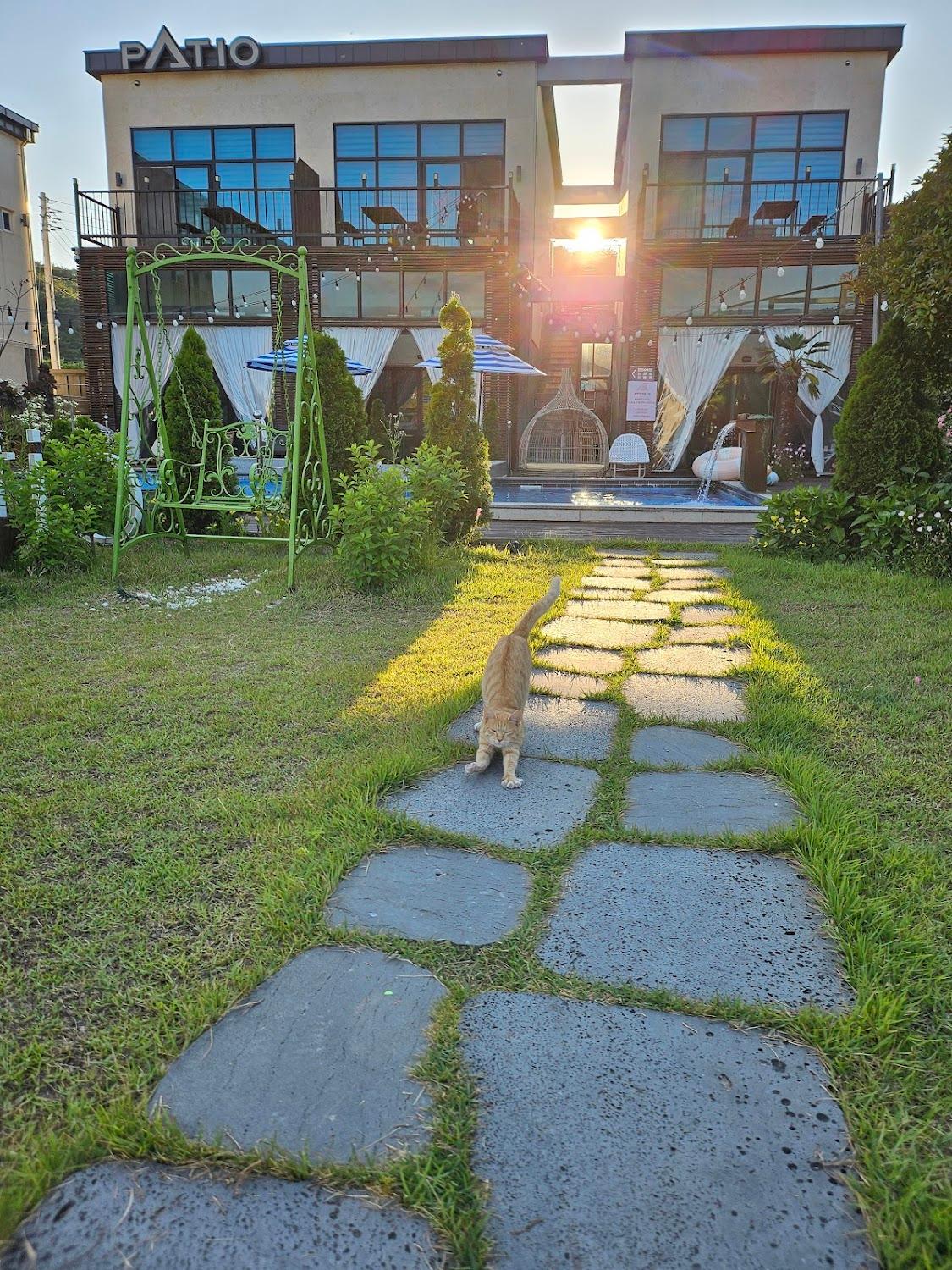 Cover Image for 파티오 풀빌라