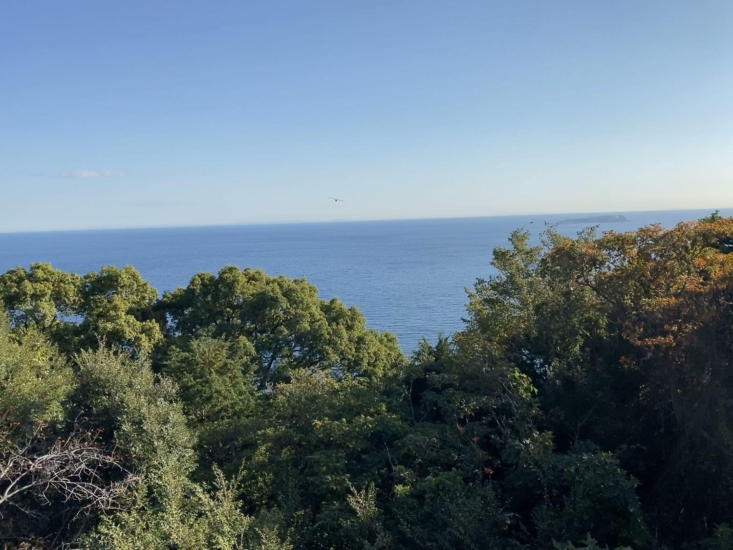 Cover Image for 熱海 ダイヤモンド ・悠 一号店