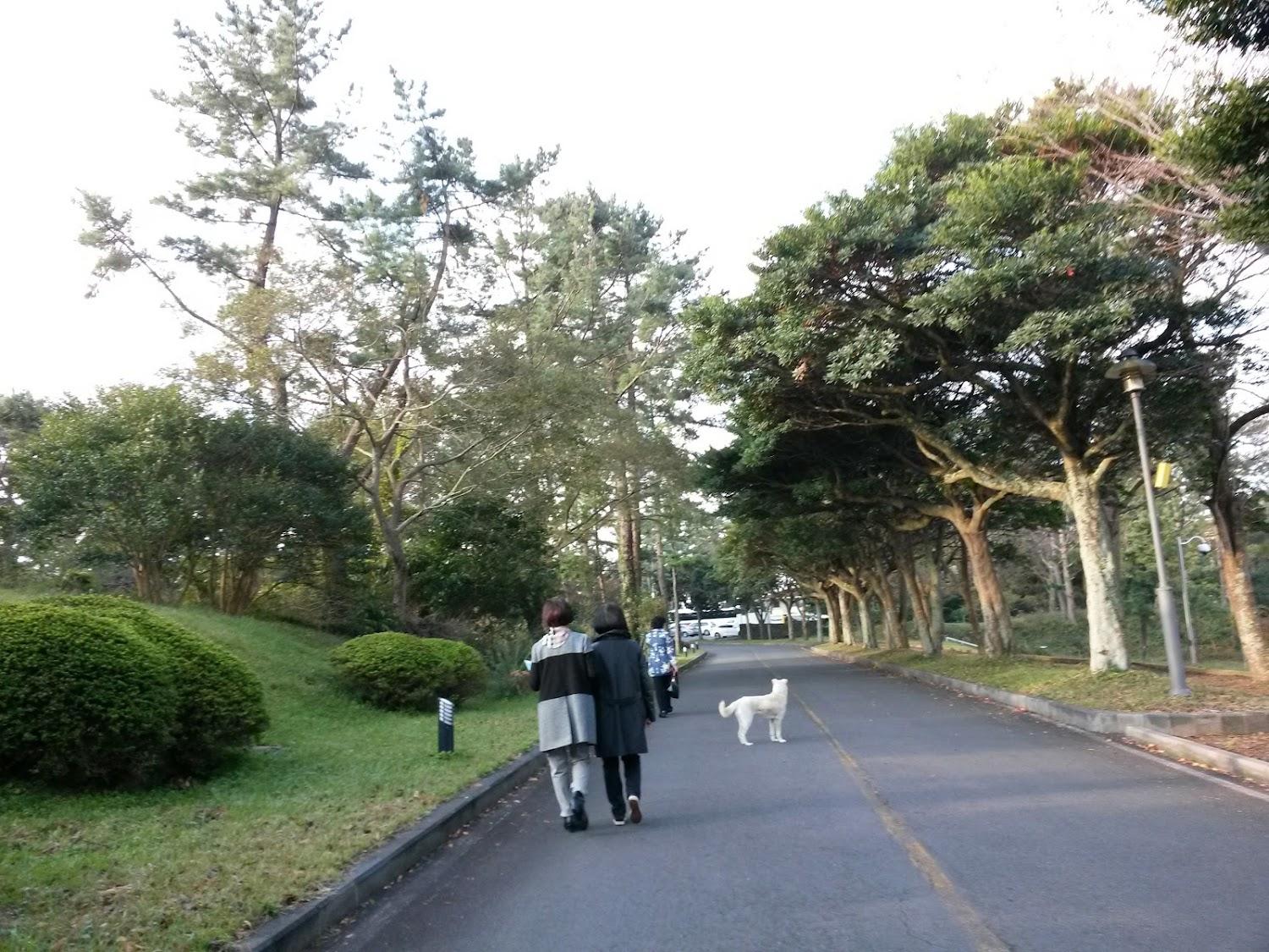 Cover Image for 메트로패밀리제주지점