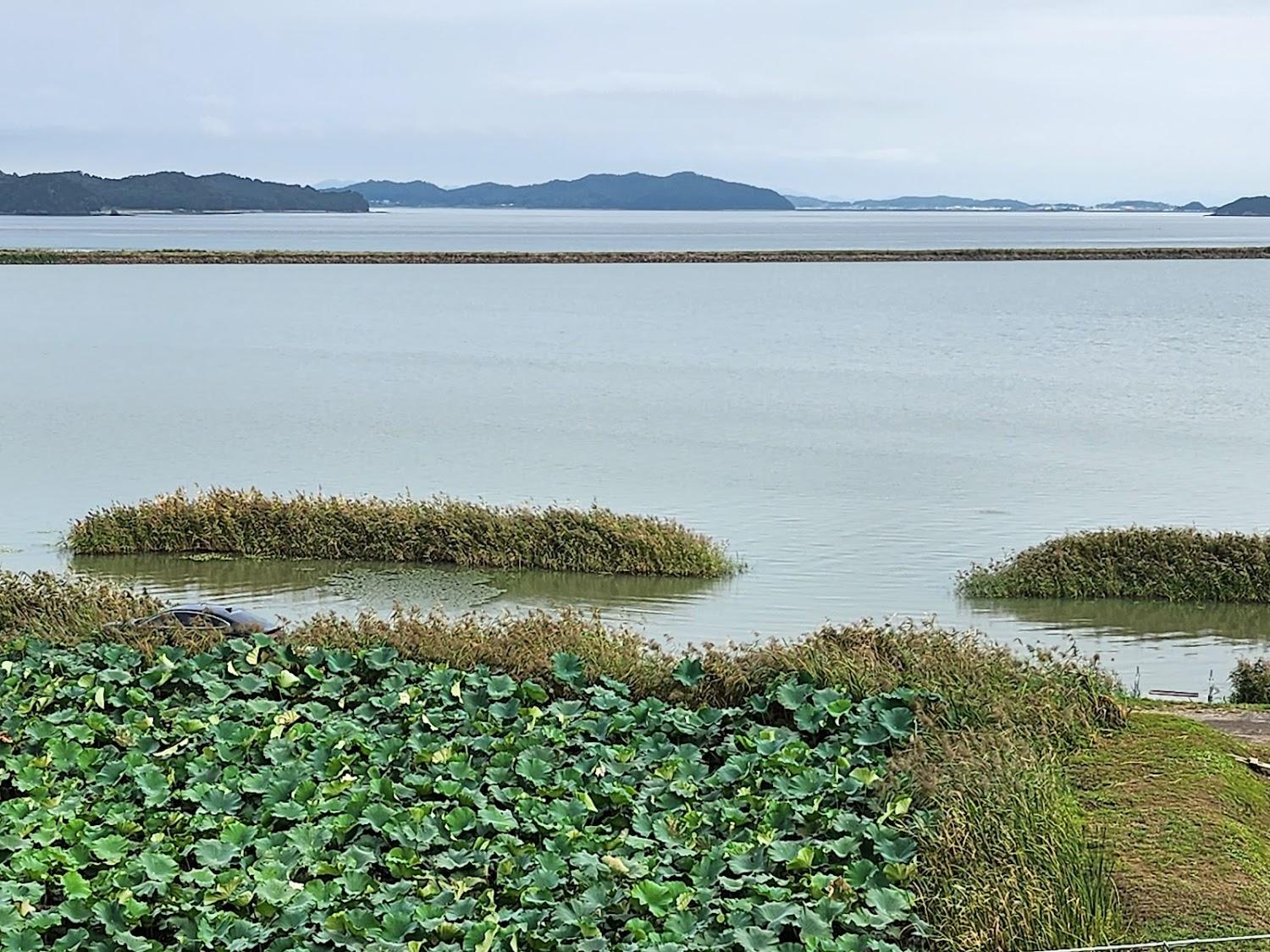 Cover Image for 돌모로펜션 A동