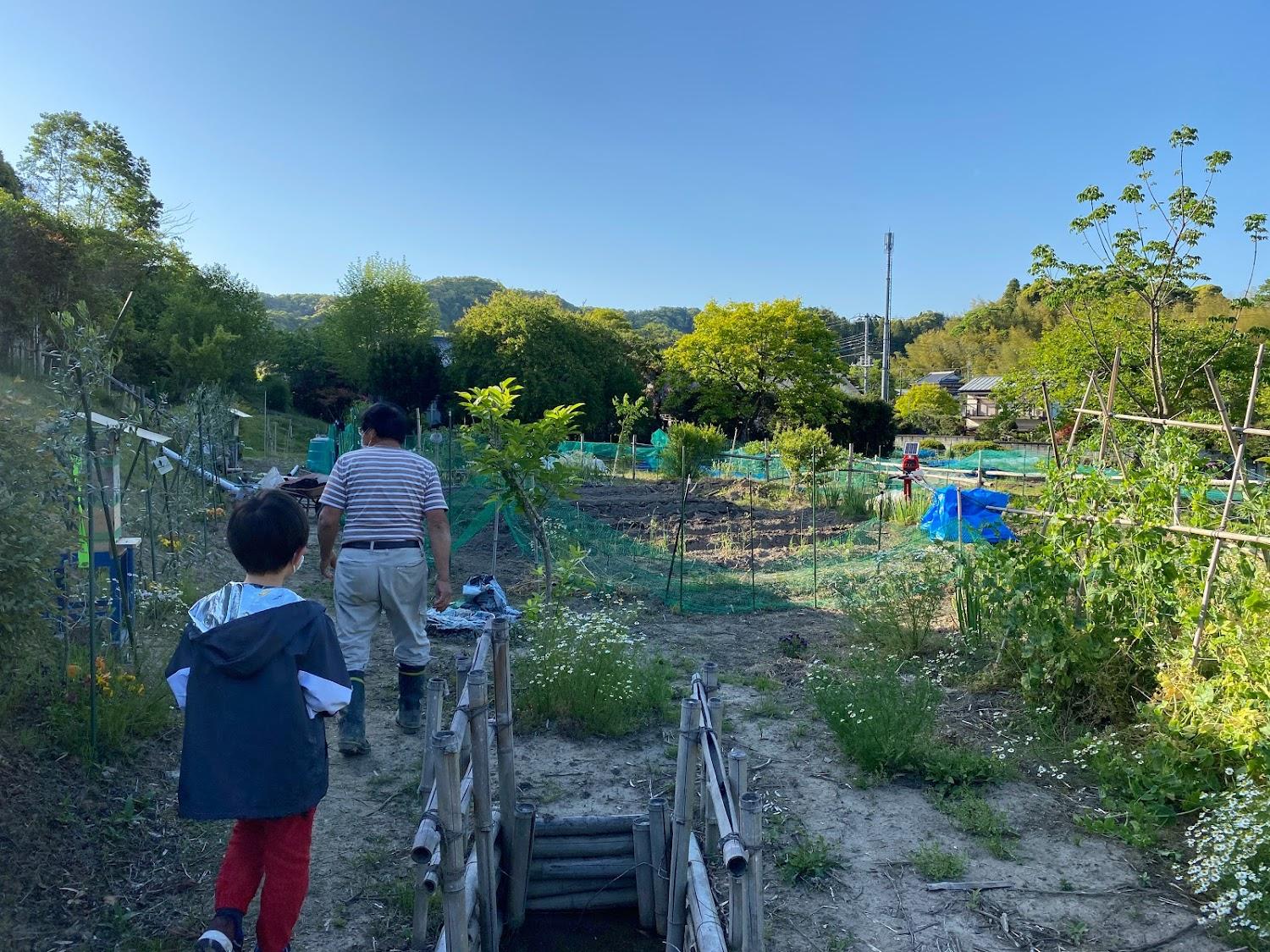 Cover Image for Holy Bee's Garden