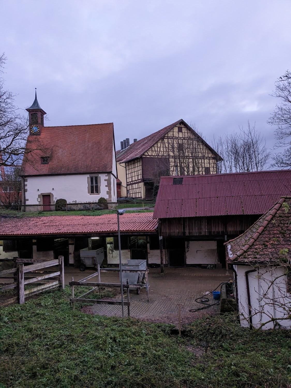 Cover Image for Hotel Schloss Sindlingen